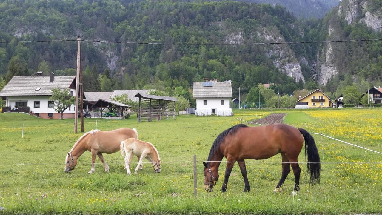 The Oldmillhouse Βίλα Mojstrana Εξωτερικό φωτογραφία